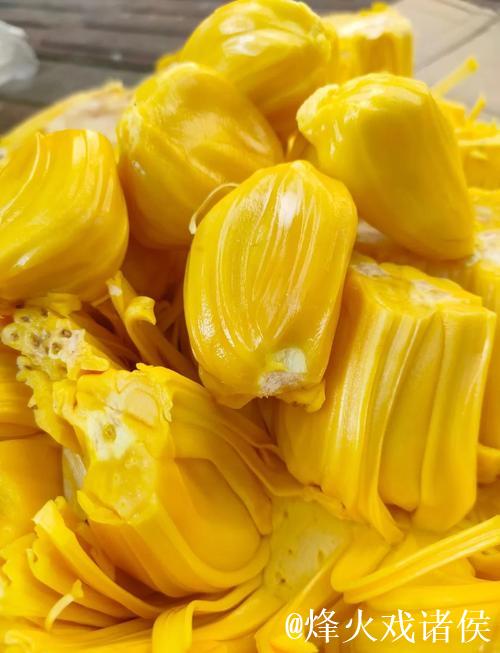 菠萝菠萝蜜高清视频