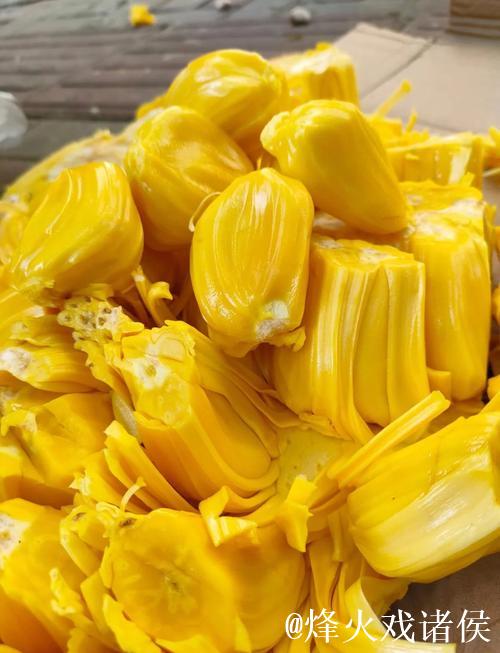 菠萝菠萝蜜高清视频